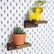 SEMPOMA 2 Pack Solid Wood Pegboard Shelves Compatible with IKEA Skadis Pegboard -