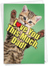 NobleWorks Funny Animal Birthday Card with Envelope, Cute Cat Love You This Much Dad, 1 Card C6610HBFG