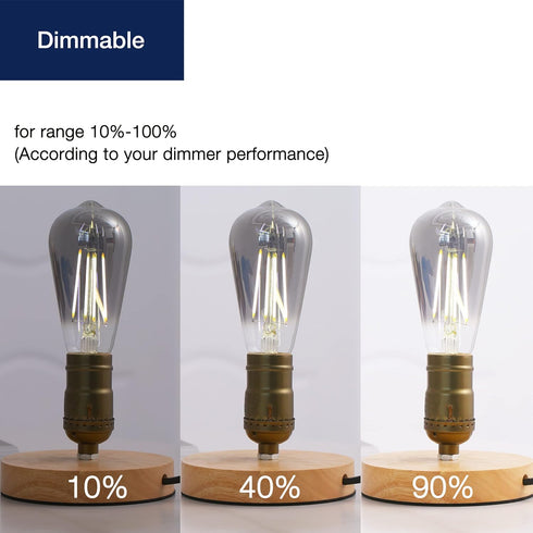 FLSNT LED Edison Bulbs, 4W (40W Equivalent), 5000K White Light, Dimmable, E26 Base, 6 Pack