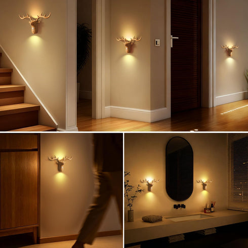 Flarouch 1 Pack 2600 0-80LM Dimmable, 3 Motion Sensor Light Indoor, Mah Rechargeable Battery Operated Wall Sconce