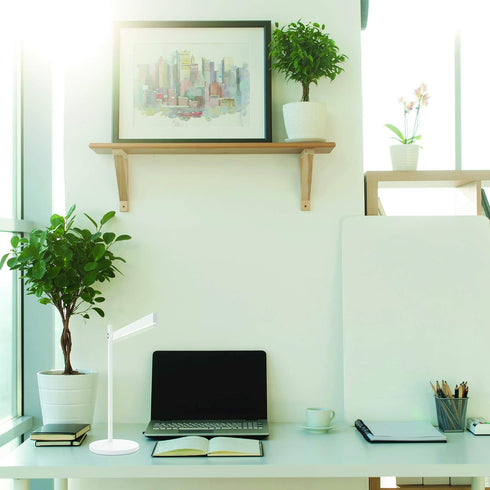 Dimmable Newhouse Lighting Adonis White Metal and Adjustable Color Temperature Energy-Efficient Modern LED Desk Lamp