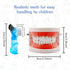 Dental Teeth Model with Denture Toothbrush, Standard Teeth Model Brushing Tooth, Denture Mouth Model Demonstration
