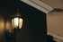 604587 9W Bulb 2-Pack MiracleLED Dark Sky Light, Amber