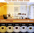 Wefomey 100ft Dimmable 24V 2700K-6500K 1440 (1 100ft) White LED Strip Lights, Bright Led Tape Light with Remote and App