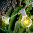 50Ft G40 25 Bulbs(5 Commercial SUNSGNE Globe String Lights with Clear Edison Spare), White String Lights Outdoor Patio