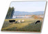 3dRose 12 Inch Canada, Vancouver Island. Cows grazing on Grass at a Dairy Farm Ceramic Tile