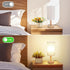 Cozy Small Bedside Table Lamp with AC Outlet, Natural Wood Base & Linen Shade, Mini Cute Warm White Nightstand Boho