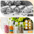 Ouligay 30 (8/9.5/11.5/12.5/13.5/15 mm) Pcs Salt and Pepper Stoppers Plugs Silicone Salt Shaker Stopper Plug Bottle