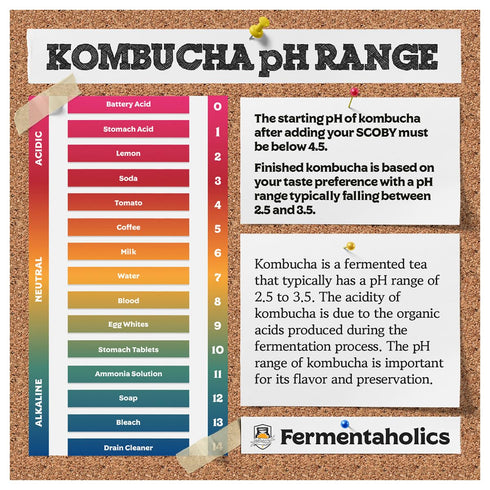Kombucha Instant Read pH Strips Dispenser - 180 1" Inch Strips, 15 ft Roll, pH Range 0-6 for Brewing