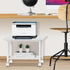 Lerliuo Under Desk Printer Stand, 2-Tier Mobile Printer Table with Storage Shelf and Lockable Wheels (White)