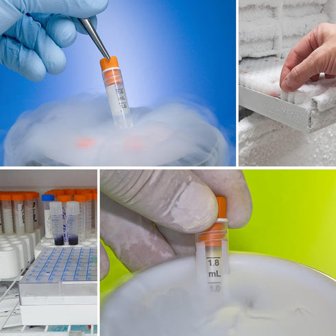 100Pcs Graduated 2ml Cryo Tubes, Plastic Small Vials with Screw Caps, Free from DNase, RNase, Human DNA