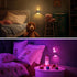 Kids,3D 3000K,Dog L LOHAS LED Night Light for Cute Puppy Night Lights,Schnauzer with Dusk to Dawn Sensor, RGB+Soft