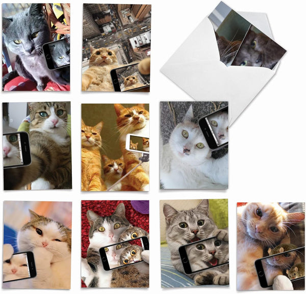 The Best Card Company 10 Assorted Thank You Notecards Bulk Box Set (4 x 5.12 Inch, 10 Designs, 1 Each) Cats Selfie