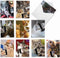 The Best Card Company 10 Assorted Thank You Notecards Bulk Box Set (4 x 5.12 Inch, 10 Designs, 1 Each) Cats Selfie
