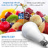 Briignite 3 Way LED Light Bulbs, 2 Pack, 50-100-150W Equivalent Daylight White 5000K, E26 Medium Base,