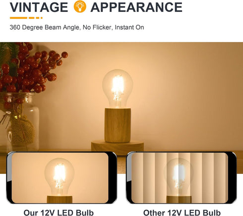 12V Low Voltage LED Light Bulbs, 4W E26 Edison Base, Soft Warm 2700K, 40W Equivalent, 2 Pack for RV Ceiling