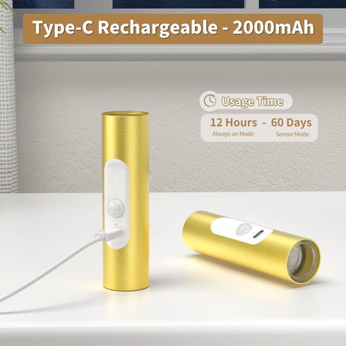 3 Bedroom,Picture,LED,Gold,2 Pack WOBSION Motion Sensor Wall Light with Remote Control, Rechargeable Wireless Wall