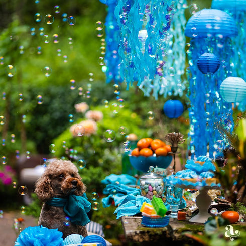 Avoseta (15pcs, Jellyfish Paper Lanterns and Bubbles - Under Sea Party Decorations, Mermaid Party Decor, Mermaid