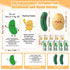 Sayglossy 60 Sets Employee Appreciation Gifts Bulk Positive Pickle Potato Pens with Animal Pun Note Cards Thank You