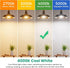 A19 Bulbs 60 E26 Bulbs, 4000K Lightbulbs, 9W 800 85+ 120V, Non-Dimmable, 6 Pack TJOY LED Light Watt Equivalent