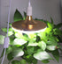 4 E26/E27 5.9FT Bulb Bulb (4 Packs) Rextin pcs LED Light socket extension cord with On/Off switch and US AC Power Plug