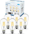 ANWIO Clear ST21 LED Edison Light Bulb LED Filament Vintage Indoor Chandelier
