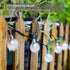 20 LED Crystal Globe Solar String Light, Extra-Bright Outdoor Lights with 8 Modes, Waterproof Solar Powered for Garden