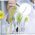 5sets GALPADA Flower Water Tubes for Fresh Flowers Hydration Carrier Bladders for Rose Carnation and Chrysanthemum