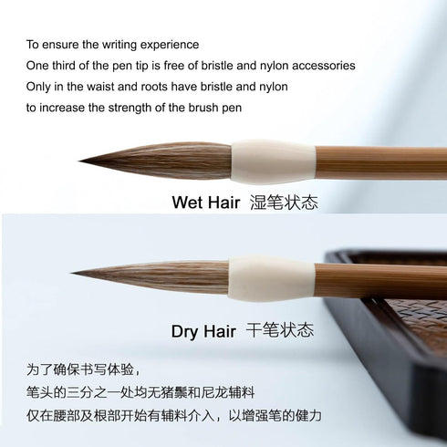 QingYi Chinese Calligraphy Brush, Weasel Hair Sumi Brush for Font 7-12cm, Seal/Clerical/Regular/Running/Cursive Script