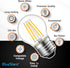 G45 E26 Bulb 120V 5W (60 2700K 550lm Non-Dimmable 6 Packs BlueStars Edison LED Filament Globe Watt Equivalent), Warm