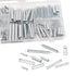 200PCS Spring Assortment Kit, Zinc Plated Extension and Compression Springs Kit with 20 Different Sizes for DIY