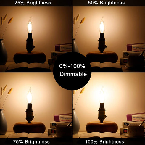 LiteHistory E12 Dimmable LED Bulb, 6W Equal to 60W, 2700K AC120V Candelabra Bulb, 600LM Clear, 12-Pack
