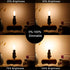 LiteHistory E12 Dimmable LED Bulb, 6W Equal to 60W, 2700K AC120V Candelabra Bulb, 600LM Clear, 12-Pack
