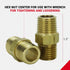 Milton S-646 1/4" MNPT Hex Nipple, Pack of 2