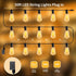 50ft 25 Bulbs Voltage(24V) Dimmable IP65 ST38 SANBEN Outdoor String Lights with Remote, Low Patio Lights, & Timer
