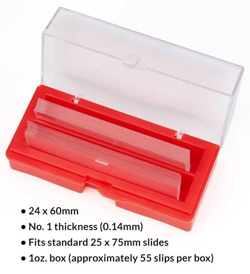 Globe Scientific Cover Glass 1419-10, 24 x 60mm, No. 1 Thickness, Case of 10