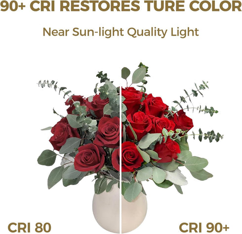 E12 Bulb Dimmable 60 Bulbs 5000K Bulbs, B11 Bulb, 90+CRI, 6W 550LM, 12 Pack Hizashi LED watt Equivalent, Chandelier