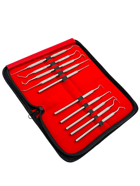 Avon Surgical Set 10 Precision Probe of Pieces Dental Hygienist Oral Care Picks Single and Double-Ended with Varying
