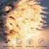2 Pack 50 Count 12 Christmas String Lights Clear Warm White Mini Lights Plug Powered Waterproof for Indoor and Outdoor