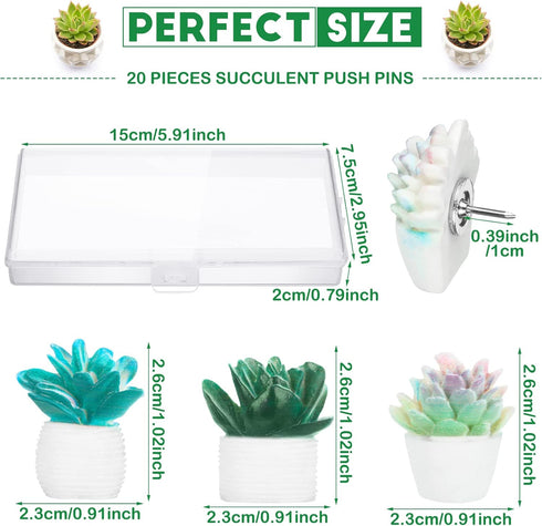 Cute Decorative Push Pins Set, 20 Pcs Succulent Push Pins for Cork Board, Fun Office Supplies for Classroom and Wall