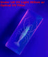 4.3" Large Real Shrimp Oriental Freshwater River Prawn in Crystal Clear Lucite Resin Specimen Preserved Macrobrachium