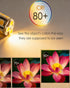T3 G4 Bulbs, 12VAC/DC 3Watt 2700K-3000K 2-Pack Bi-pin LED Light Low Voltage Warm White for Outdoor Landscape Lighting