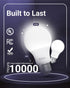 Sunco Lighting 12 LED A19 Light Lamp Bulbs, 9W Equivalent 60W, 3000K White for Indoor Use