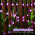 50 ITICdecor Outdoor Solar Flower String Lights Waterproof LED Fairy Light Decorations for Christmas Tree Garden Patio