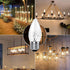 40W Bulbs Bulb E26 (12PACK) SCOMX Equivalent Incandescent Torpedo Tip Chandelier with Crystal Clear Incandescent Light