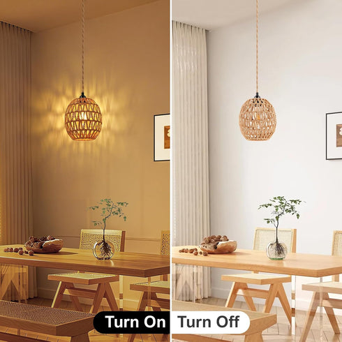 15ft E26 E27 FRIDEKO HOME Hanging Lamps Hanging Light Plug in Pendant Light - Pendant Light with On Off Switch Plug