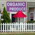 Fastasticdeals 4 Grommets 24x48Inches Vinyl Banner Multiple Sizes Organic Produce Advertising Printing A Business