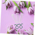 Set Floral Preservation Tubes for Fresh Flower Arrangements - Perfect for Roses and Carnations