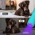 EverBrite Black Light Flashlight UV Mini 9-Led 395nm Detector for Pet Urine, Stains, Scorpions