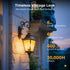 Dimmable Bulbs, 2700K 6W 60 E26 Bulb, ST58 Bulbs, 600LM, 90+ E26 6 Pack GvvooHome Edison Warm White, Equivalent to watt